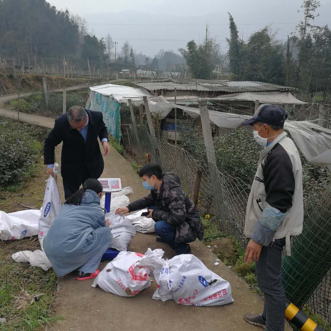 上里镇建新村第一书记刘欣在登记采买贫困户土鸡.jpg