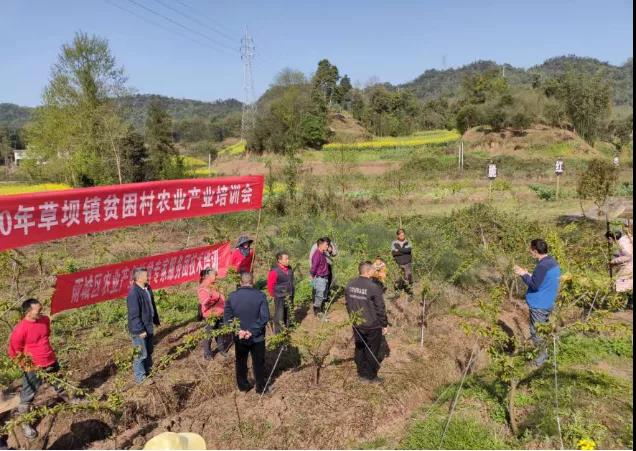 农业科技特派员到草坝镇进行春耕生产技术指导.jpg