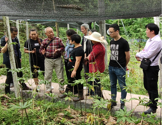 文成敬教授（左三）与重楼种植基地人员交流.png