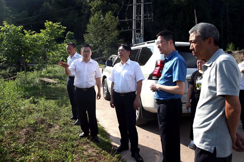 巴中 返回首页 6月1日,通江县委书记孙辉在三溪镇调研指导稻田养鱼时