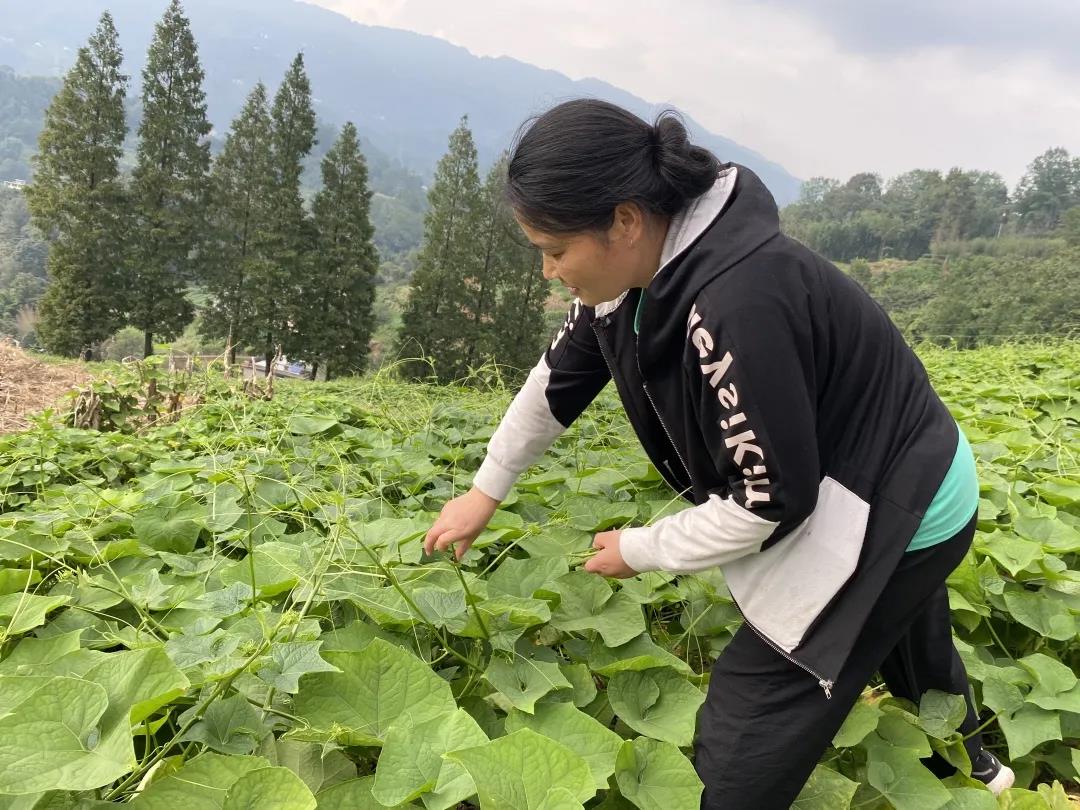 席草村村民 周永蓉.jpg