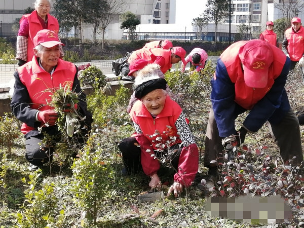 89岁的袁素珍（中）参与志愿活动.jpg