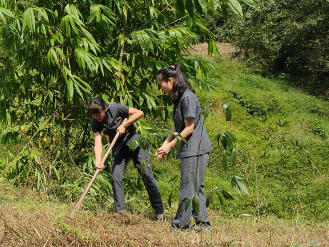 川渝两地法官以及公诉人同被告人廖某某一起，到基地种植桢楠树苗.png