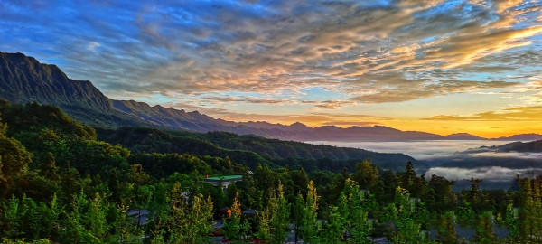 通过世行贷款项目，碧峰峡景区内森林质量得到提升.jpg