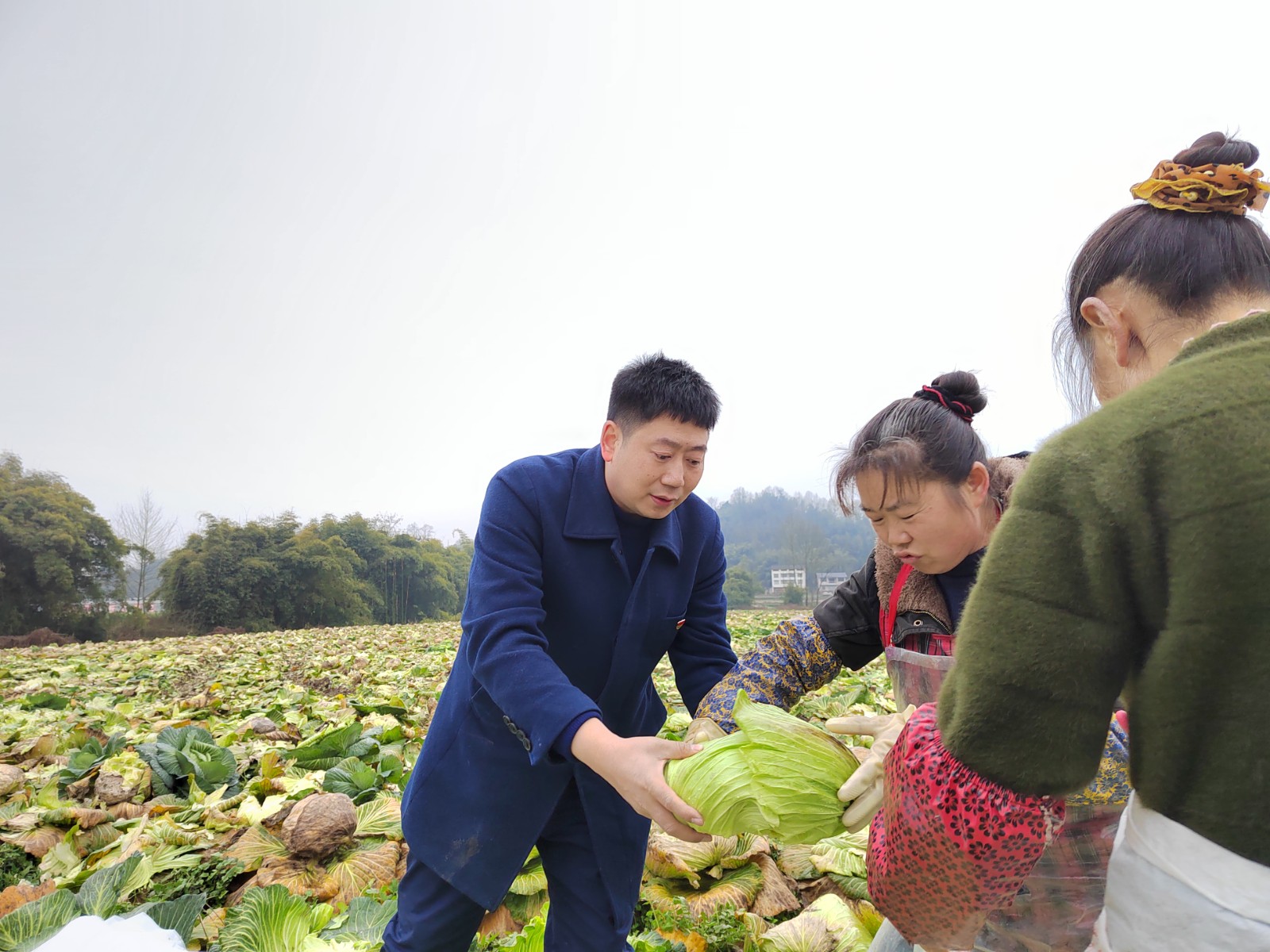 大竹农商银行助农增收获实效2.jpg