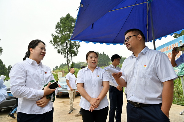 “结对”党员正在鲤鱼塘村谋划天冬、黄精产业发展。1.jpg